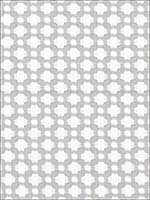 Betwixt Zinc Blanc Fabric 65684 by Schumacher Fabrics for sale at Wallpapers To Go