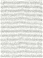 Galapagos Sheer Zinc Fabric 67360 by Schumacher Fabrics for sale at Wallpapers To Go