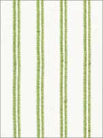Paloma Embroidery Grass Fabric 68791 by Schumacher Fabrics for sale at Wallpapers To Go