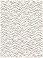 Davis Birch Fabric 69880 by Schumacher Fabrics for sale at Wallpapers To Go