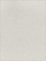 Avenue Ivory And Grey Fabric 70130 by Schumacher Fabrics for sale at Wallpapers To Go