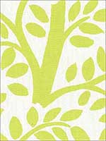 Temple Garden Appletini Fabric 173580 by Schumacher Fabrics for sale at Wallpapers To Go