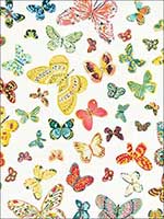 Butterfly Multi Fabric 174900 by Schumacher Fabrics for sale at Wallpapers To Go