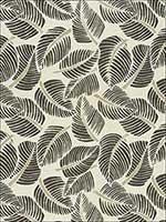 Costa Rica Faded Black Fabric 176193 by Schumacher Fabrics for sale at Wallpapers To Go