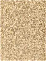 Kyousha Silk Champagne Fabric 2644521 by Schumacher Fabrics for sale at Wallpapers To Go