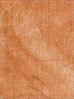Venetian Silk Velvet Bellini Fabric 62744 by Schumacher Fabrics for sale at Wallpapers To Go