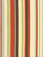 Delray Stripe Cabana Fabric 62893 by Schumacher Fabrics for sale at Wallpapers To Go