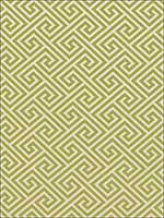 St Tropez Avocado Fabric 62904 by Schumacher Fabrics for sale at Wallpapers To Go