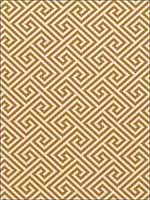 St Tropez Rattan Fabric 62905 by Schumacher Fabrics for sale at Wallpapers To Go
