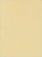 Tiepolo Shantung Weave Ivory Fabric 63842 by Schumacher Fabrics for sale at Wallpapers To Go