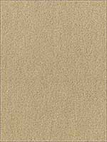 San Carlo Mohair Velvet Putty Fabric 64859 by Schumacher Fabrics for sale at Wallpapers To Go