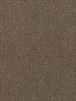 San Carlo Mohair Velvet Taupe Fabric 64884 by Schumacher Fabrics for sale at Wallpapers To Go