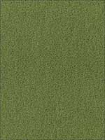 Palermo Mohair Velvet Grass Fabric 64937 by Schumacher Fabrics for sale at Wallpapers To Go