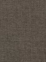 Auden Graphite Fabric 69058 by Schumacher Fabrics for sale at Wallpapers To Go