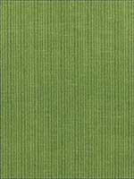 Antique Strie Velvet Verdant Fabric 69751 by Schumacher Fabrics for sale at Wallpapers To Go