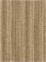 Antique Strie Velvet Reed Fabric 69761 by Schumacher Fabrics for sale at Wallpapers To Go