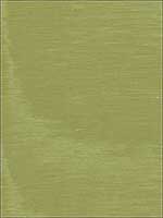 Incomparable Moire Olive Fabric 70409 by Schumacher Fabrics for sale at Wallpapers To Go