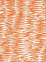 Zebra Print Orange Fabric 174261 by Schumacher Fabrics for sale at Wallpapers To Go