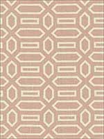 Pavillion Temple Pink Fabric 176141 by Schumacher Fabrics for sale at Wallpapers To Go