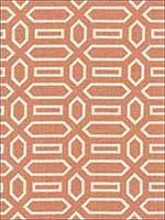Pavillion Burnt Orange Fabric 176146 by Schumacher Fabrics for sale at Wallpapers To Go