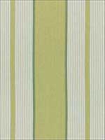 Summerside Stripe Pear Fabric 3486001 by Schumacher Fabrics for sale at Wallpapers To Go