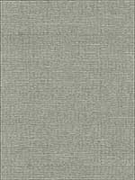 Delacroix Silk Ottoman Nickel Fabric 54965 by Schumacher Fabrics for sale at Wallpapers To Go