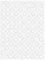 Isabella Sheer Embroidery Ivory Fabric 55550 by Schumacher Fabrics for sale at Wallpapers To Go