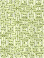 Amazing Maze Palm Fabric 65321 by Schumacher Fabrics for sale at Wallpapers To Go