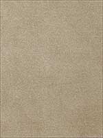Monaco Velvet Driftwood Fabric 65902 by Schumacher Fabrics for sale at Wallpapers To Go