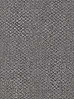 Cap Ferrat Weave Oxford Grey Fabric 65933 by Schumacher Fabrics for sale at Wallpapers To Go
