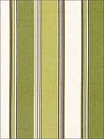 Addison Cotton Stripe Vert Fabric 66003 by Schumacher Fabrics for sale at Wallpapers To Go