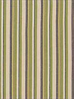 Kiawah Stripe Vert Fabric 66031 by Schumacher Fabrics for sale at Wallpapers To Go