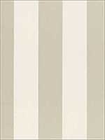 Beaufort Awning Stripe Platinum Fabric 66040 by Schumacher Fabrics for sale at Wallpapers To Go