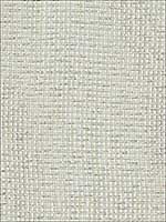Calvin Sheer Mother Of Pearl Fabric 69671 by Schumacher Fabrics for sale at Wallpapers To Go