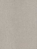 Giorgio Sheer Platinum Fabric 69680 by Schumacher Fabrics for sale at Wallpapers To Go