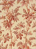 Brantwood Vine Currant Fabric 174112 by Schumacher Fabrics for sale at Wallpapers To Go