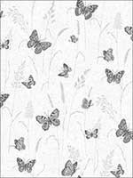 Butterflies Wallpaper G12253 by Galerie Wallpaper for sale at Wallpapers To Go