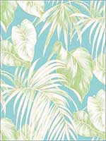 Dominica Wallpaper TA21602 by Seabrook Wallpaper for sale at Wallpapers To Go