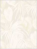 Dominica Wallpaper TA21605 by Seabrook Wallpaper for sale at Wallpapers To Go