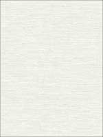 Metallic Grasscloth Look Textured Wallpaper OY32908 by Paper and Ink Wallpaper for sale at Wallpapers To Go
