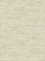 Metallic Stringcloth Textured Wallpaper OY33207 by Paper and Ink Wallpaper for sale at Wallpapers To Go