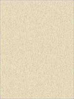 Metallic Faux Textured Wallpaper OY34646 by Paper and Ink Wallpaper for sale at Wallpapers To Go