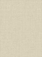 Metallic Grasscloth Look Textured Wallpaper OY34715 by Paper and Ink Wallpaper for sale at Wallpapers To Go