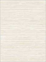 Metallic Grasscloth Look Textured Wallpaper OY35005 by Paper and Ink Wallpaper for sale at Wallpapers To Go
