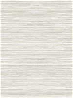 Metallic Grasscloth Look Textured Wallpaper OY35014 by Paper and Ink Wallpaper for sale at Wallpapers To Go