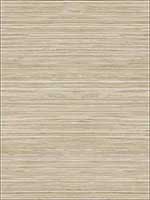 Metallic Grasscloth Look Textured Wallpaper OY35016 by Paper and Ink Wallpaper for sale at Wallpapers To Go