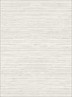 Metallic Grasscloth Look Textured Wallpaper OY35006 by Paper and Ink Wallpaper for sale at Wallpapers To Go