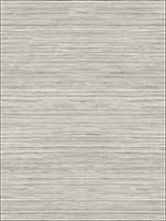 Metallic Grasscloth Look Textured Wallpaper OY35008 by Paper and Ink Wallpaper for sale at Wallpapers To Go