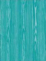 Illusion Aqua Faux Wood Wallpaper 274424156 by A Street Prints Wallpaper for sale at Wallpapers To Go