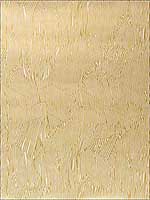 Avant Ivory Gold Wallpaper GWP3500140 by Grundworks Wallpaper for sale at Wallpapers To Go